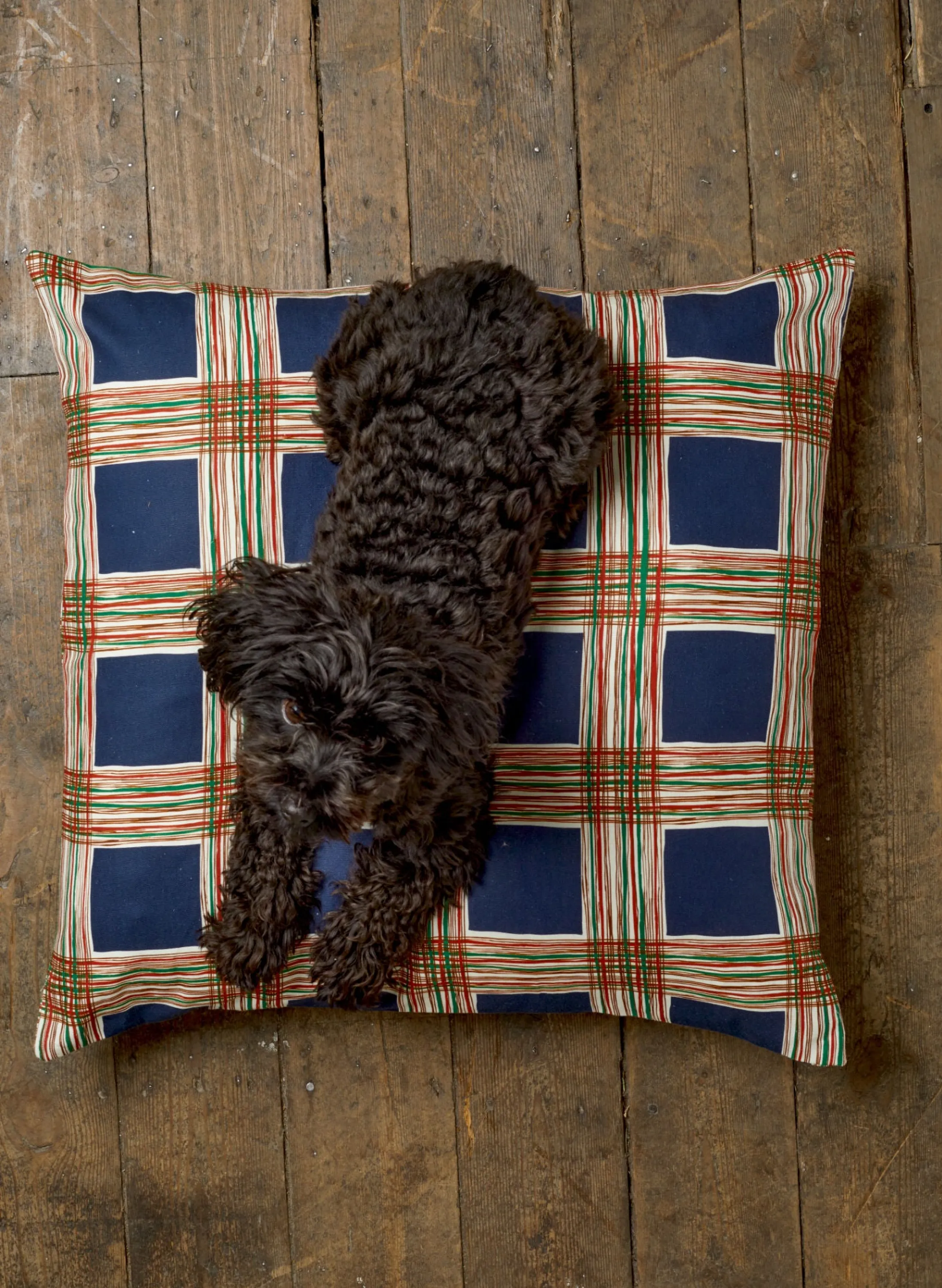 Palava Dog Bed - Navy Checks Outlet