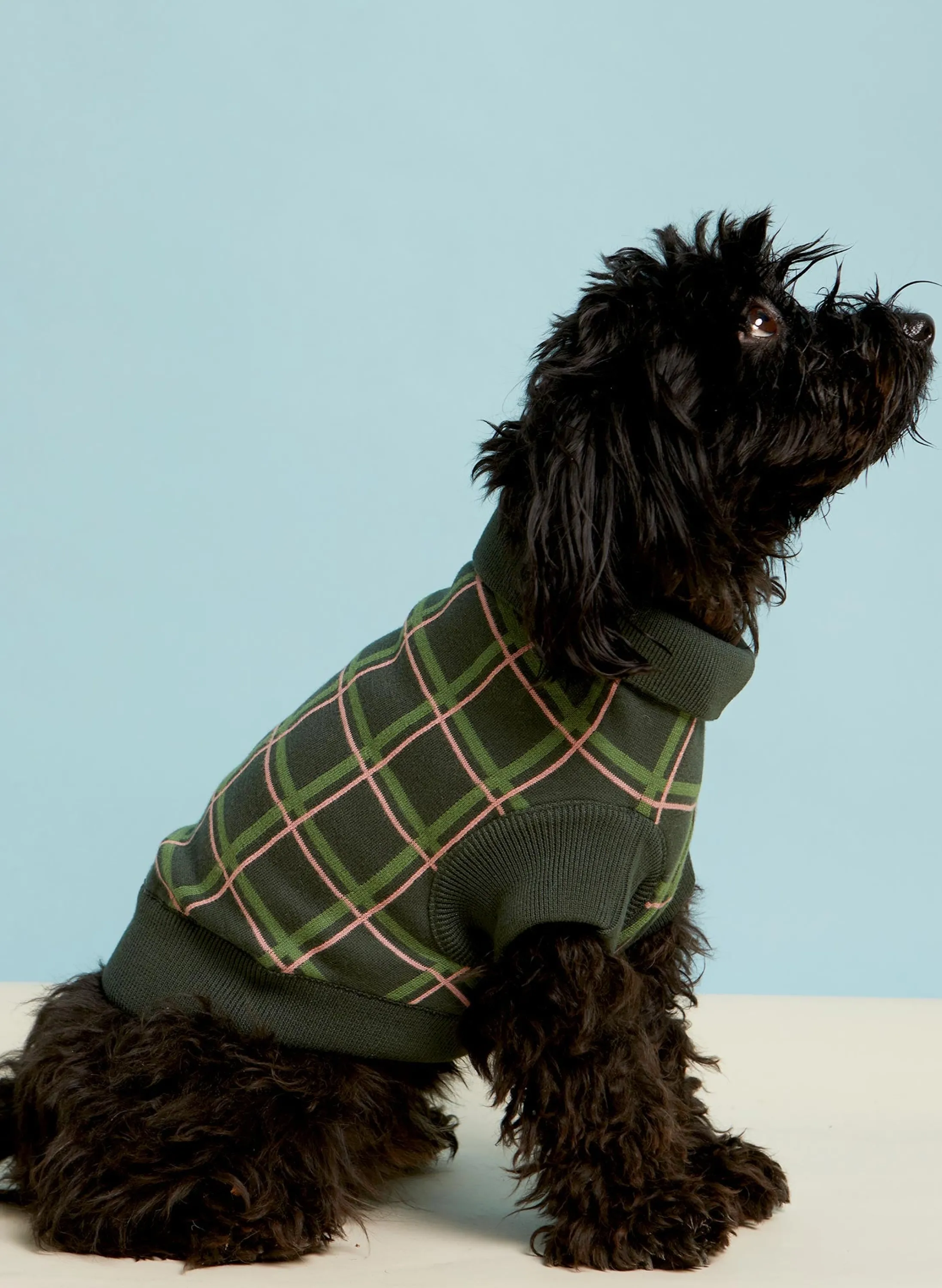 Palava Rodney Dog Jumper - Green Tuck Shop Shop