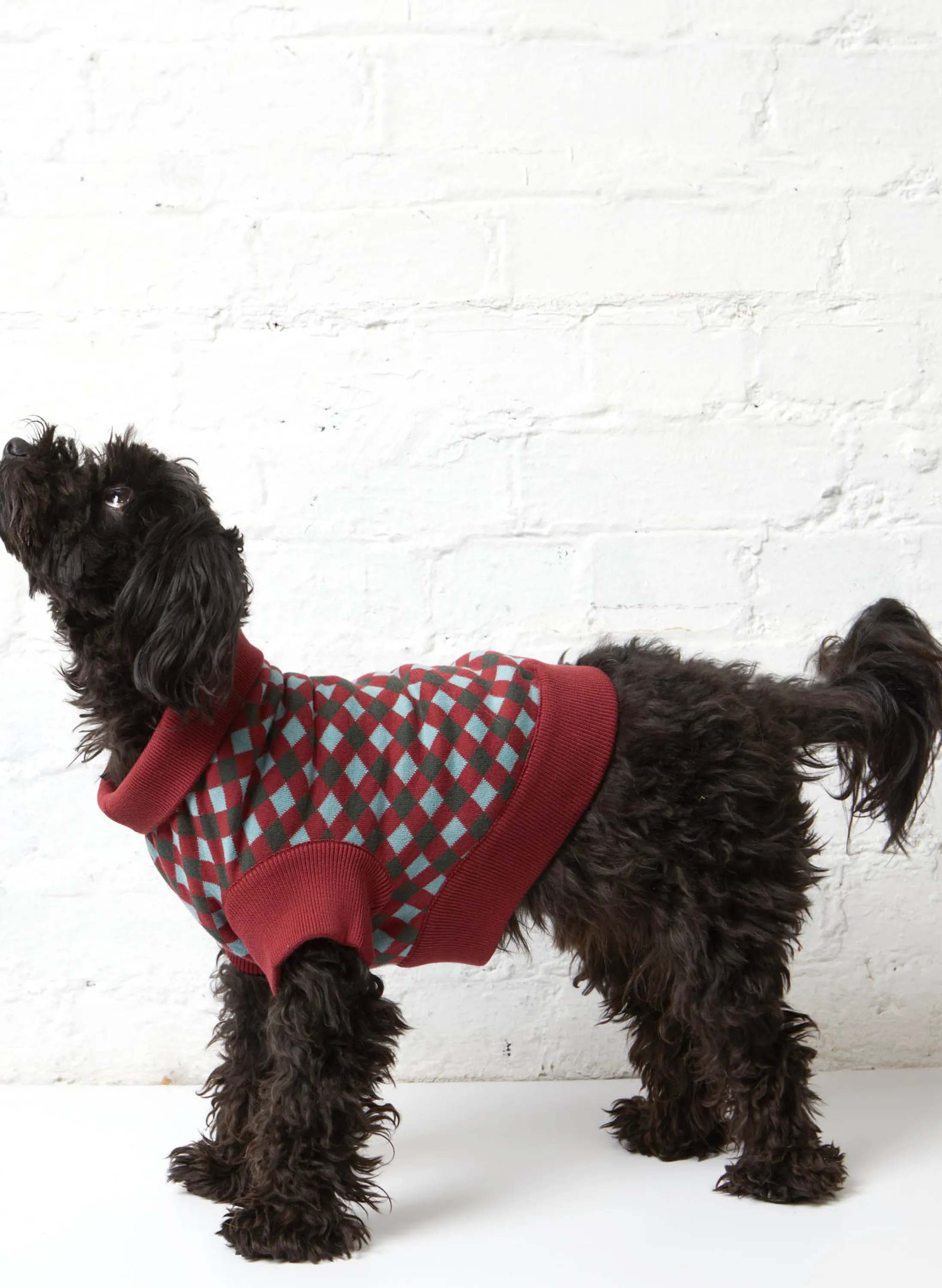 Palava Rodney Dog Jumper - Navy Outlet