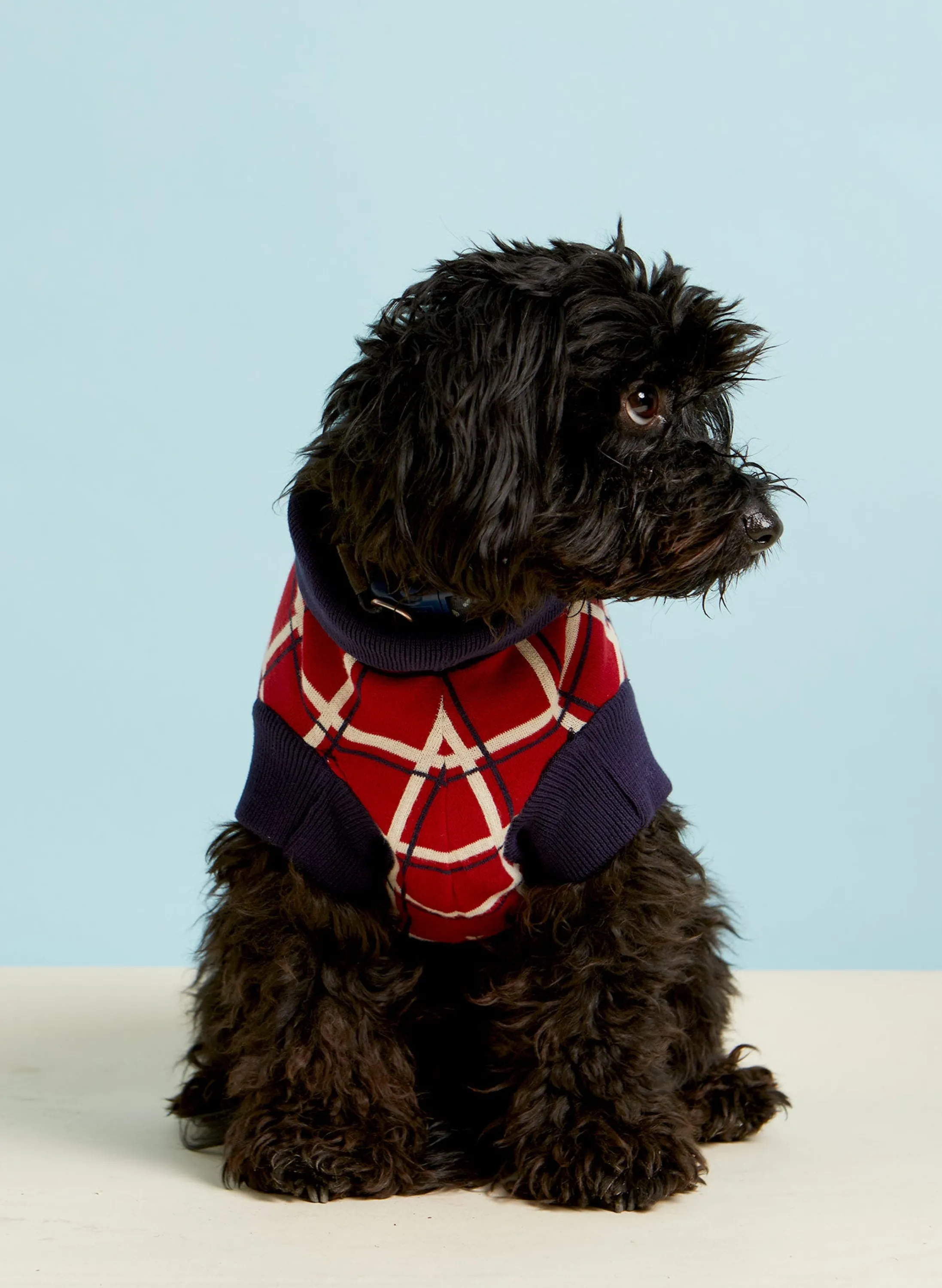 Palava Rodney Dog Jumper - Red Tuck Shop Fashion