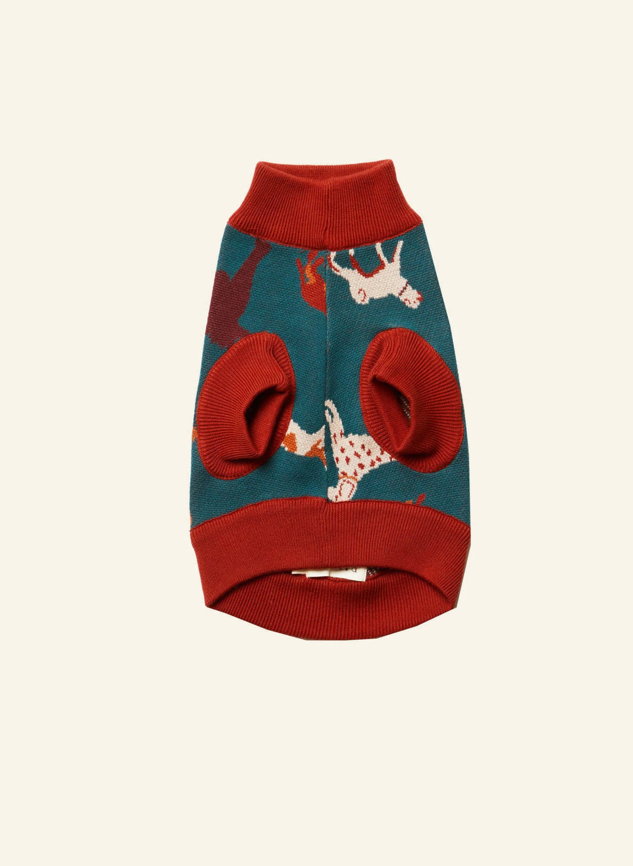 Palava Rodney Dog Jumper - Teal Woof Hot