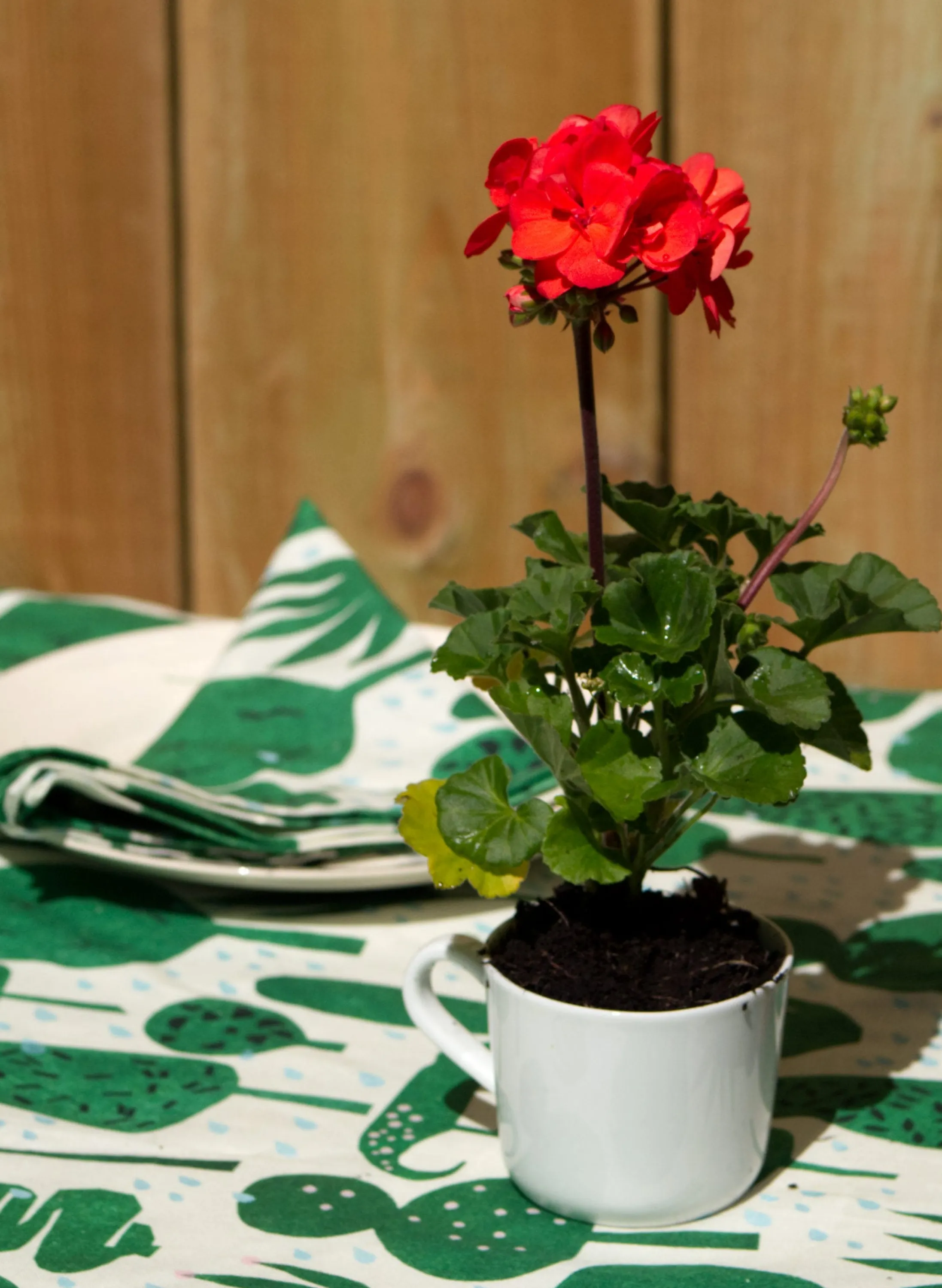 Palava Table Cloth - Topiary Discount