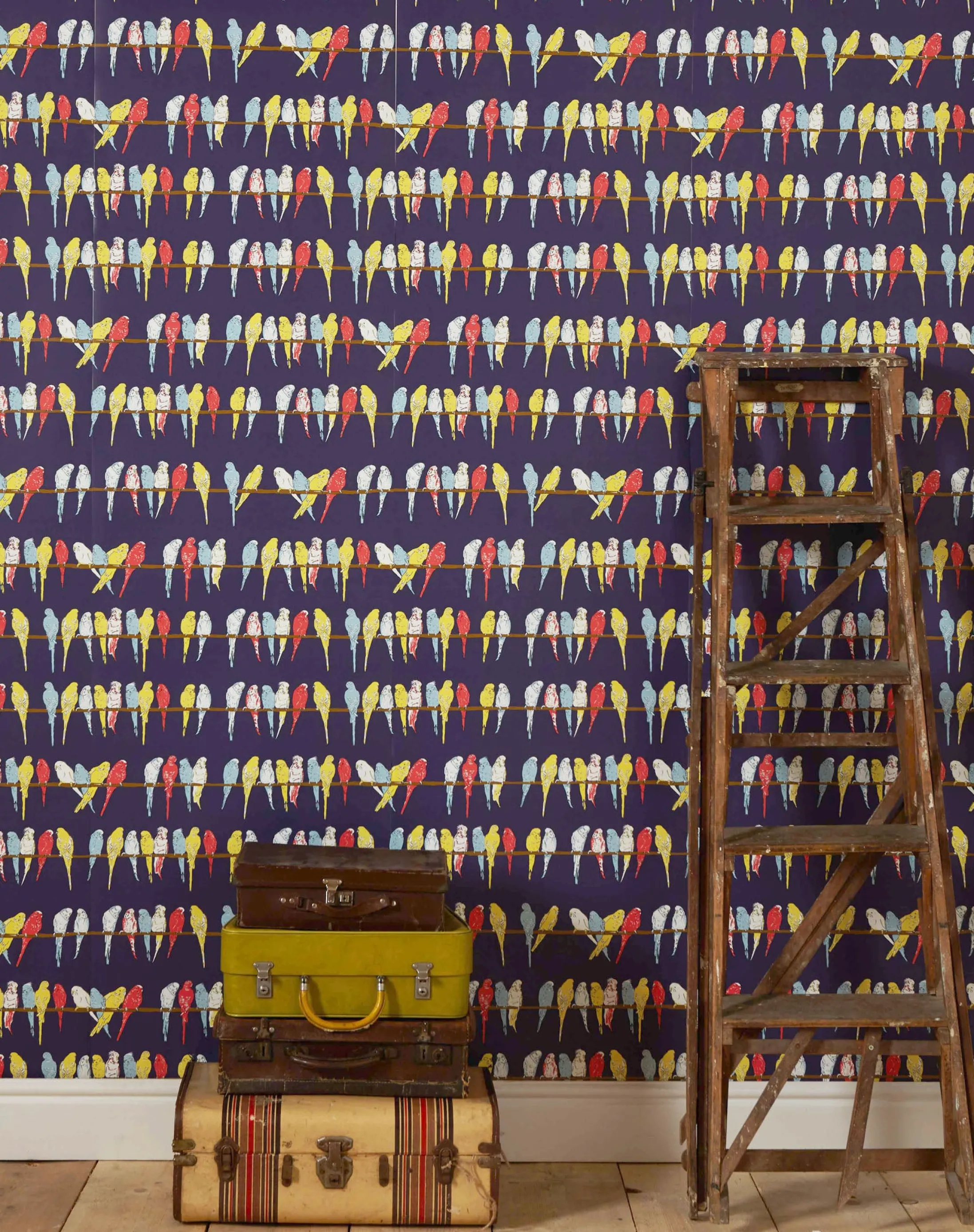 Palava Wallpaper - Navy Budgies Cheap